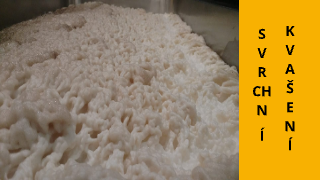 Svrchní kvašení piva - Pivo Ale